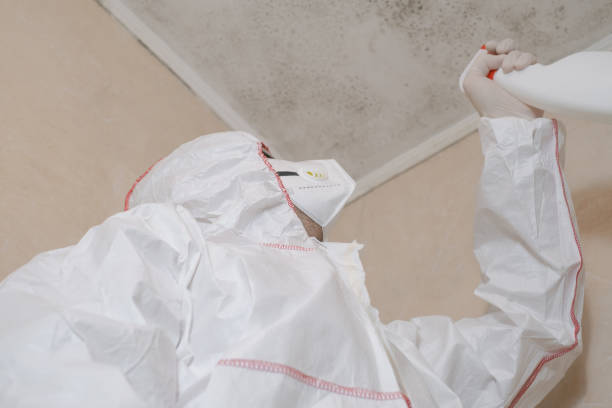 Best Commercial Mold Inspection  in Whitaker, PA